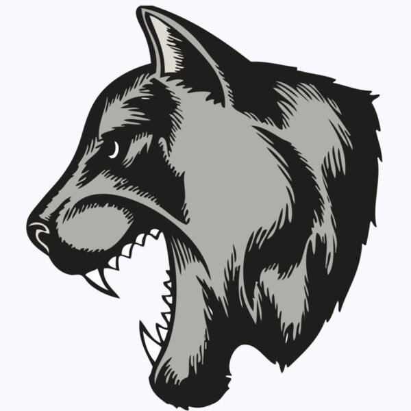 BAW COUG PANTH 06 RC Thumbnail