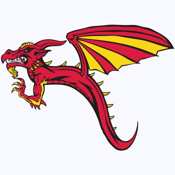 BAW DRAGON 02 RC Thumbnail