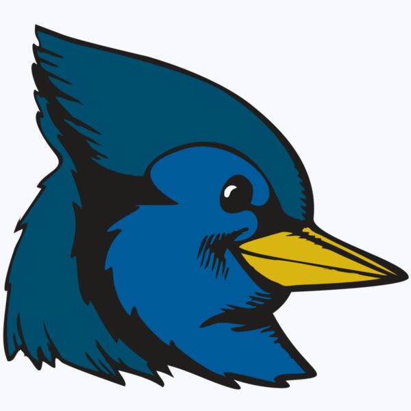 BAW BLUEJAY 07 RC Thumbnail