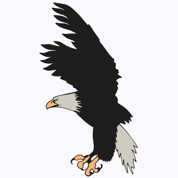 AR EAGLE 91 RC Thumbnail