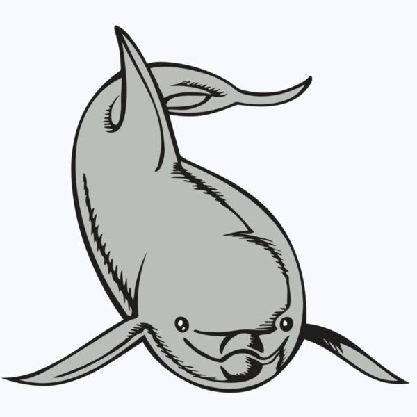 BAW DOLPHIN 02 RC Thumbnail