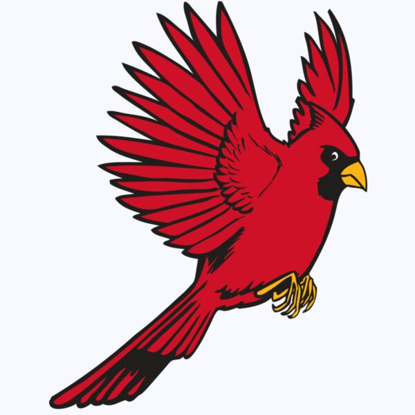 BAW CARDINAL 19 RC Thumbnail