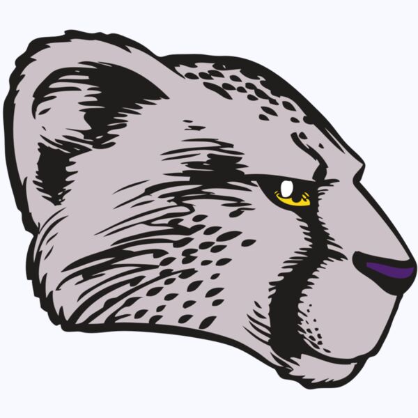 BAW CHEETAH 20 RC Thumbnail