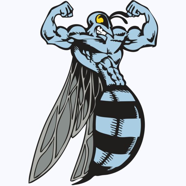 BAW BEE 08 RC Thumbnail