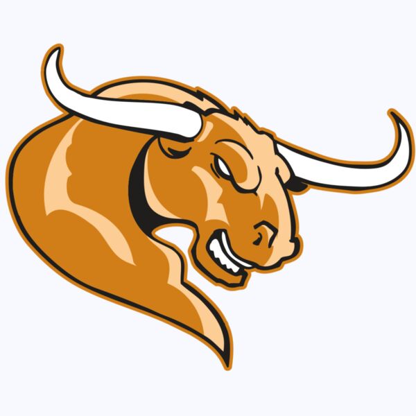 AR BULL 14 RC Thumbnail