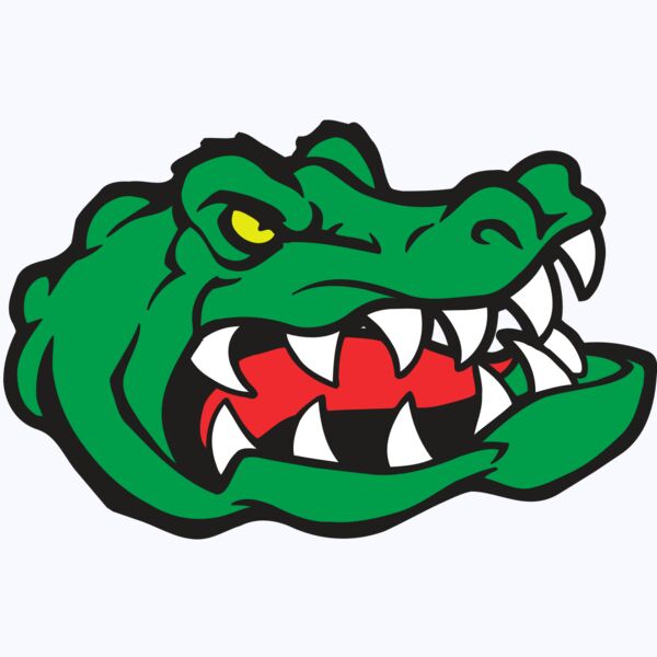 AR GATOR 19 RQC Thumbnail