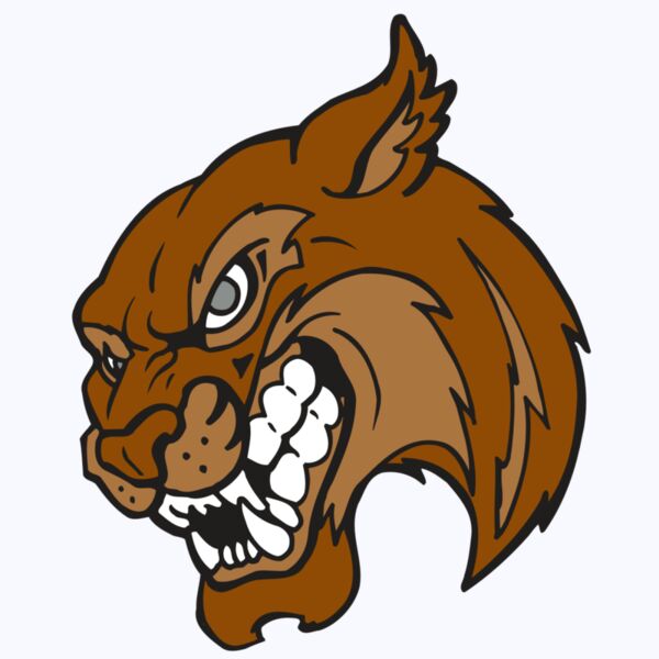 AR5 BOBCAT 07 RQC Thumbnail