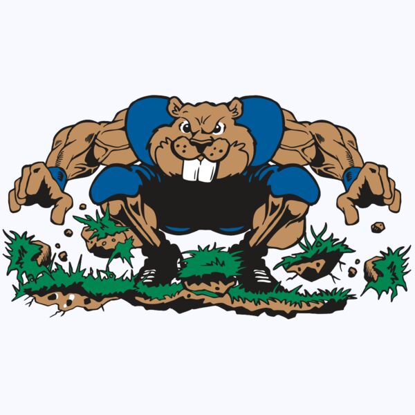 AR14 BEAVER FBLL 04 RQC Thumbnail