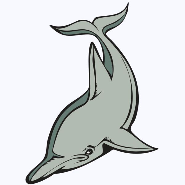 BAW DOLPHIN 01 RC Thumbnail