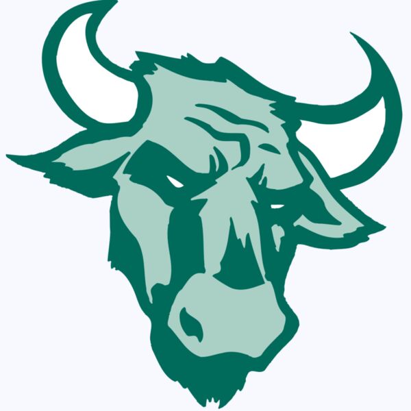 AR BULL 37 RC Thumbnail