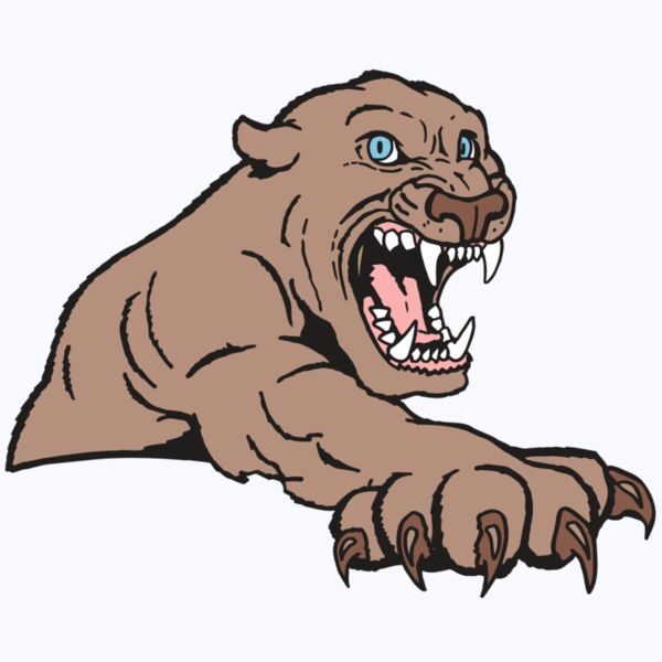 AR5 COUGAR 20 RQC Thumbnail