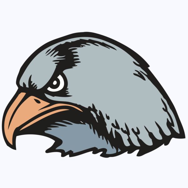 BAW HWK FLCN 03 RC Thumbnail