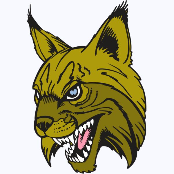 BAW BOBCAT 05 RC Thumbnail