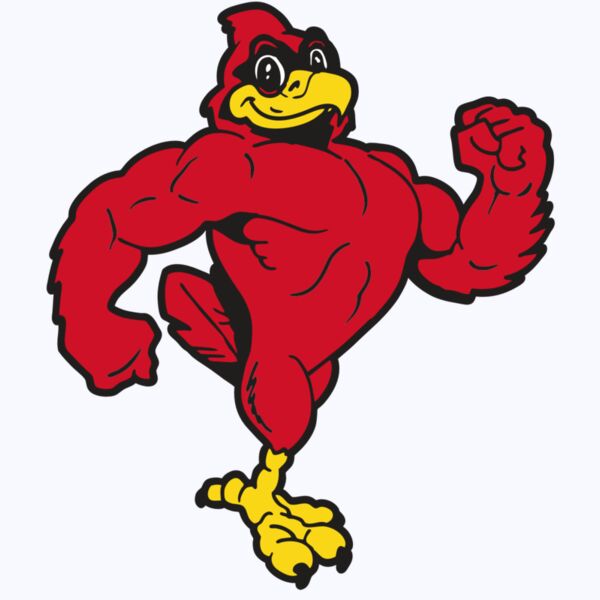 AR CARDINAL 41 RC Thumbnail