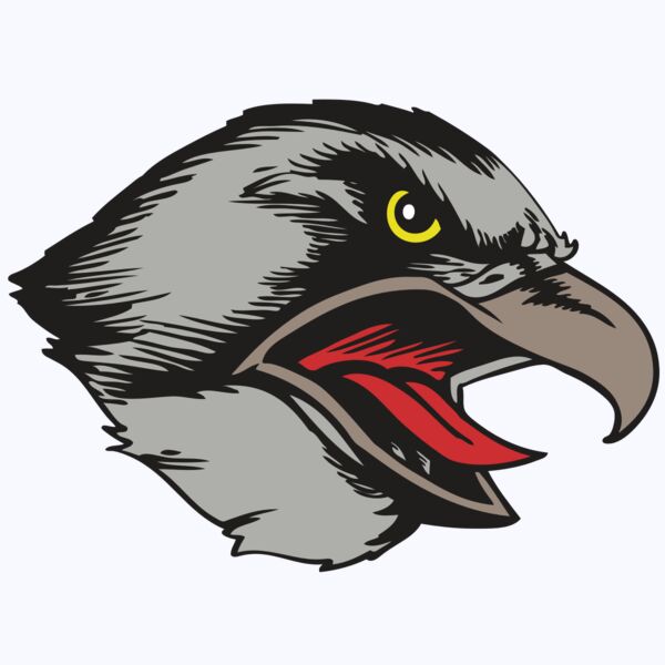 BAW HWK FLCN 13 RC Thumbnail