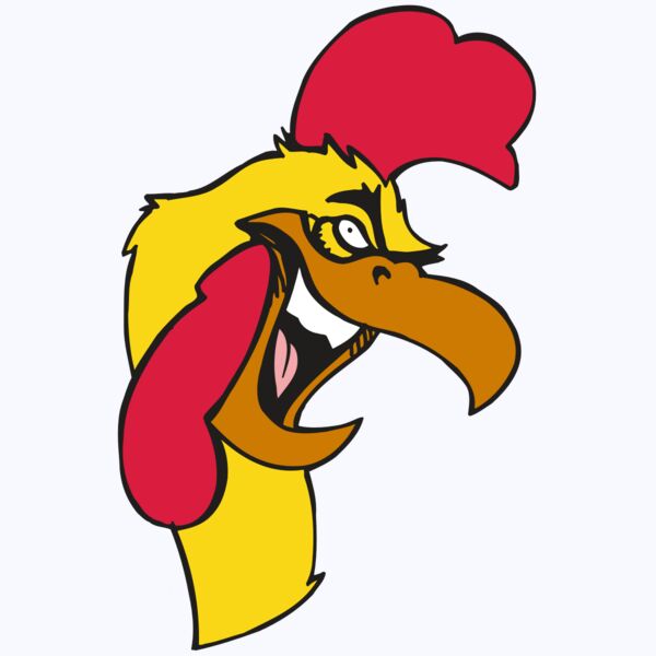 AR5 Gamecock 08 RQC Thumbnail