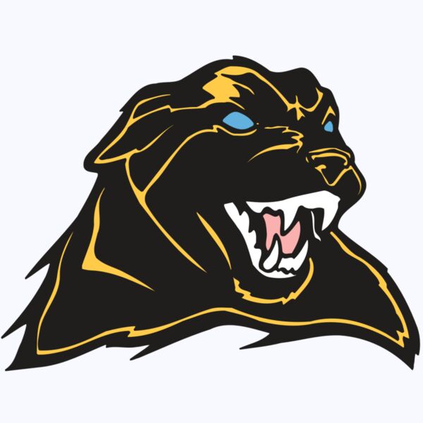 AR COUGAR 42 RC Thumbnail