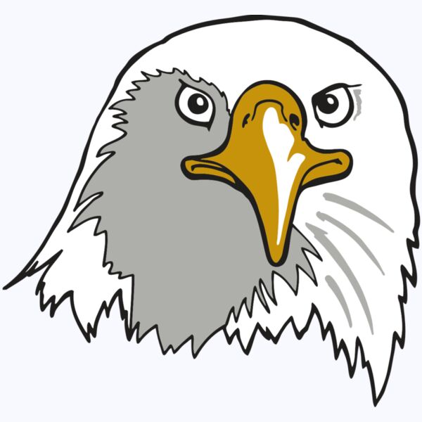 AR EAGLE 39 RC Thumbnail