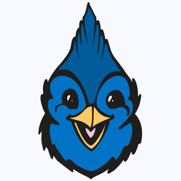 BAW BLUEJAY 19 RC Thumbnail