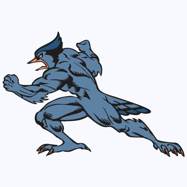 BAW BLUEJAY 15 RC Thumbnail