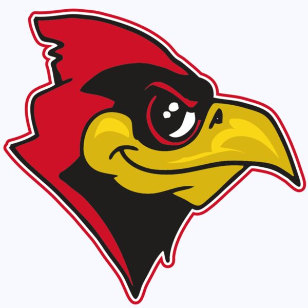 AR CARDINAL 38 RC Thumbnail