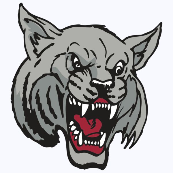 AR WILDCAT 42 RC Thumbnail