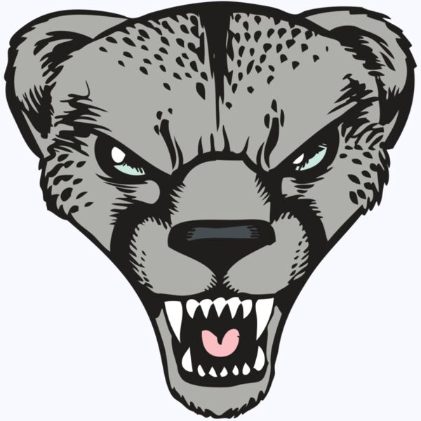 BAW CHEETAH 15 RC Thumbnail