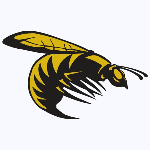 AR BEE 49 RC Thumbnail