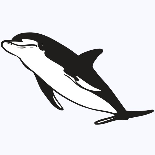 AR DOLPIN 13 RC Thumbnail