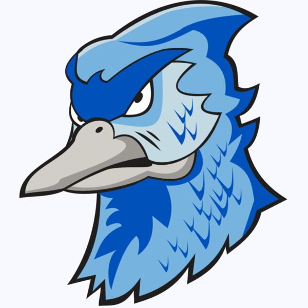 BLUEJAY HD0501 RQC Thumbnail