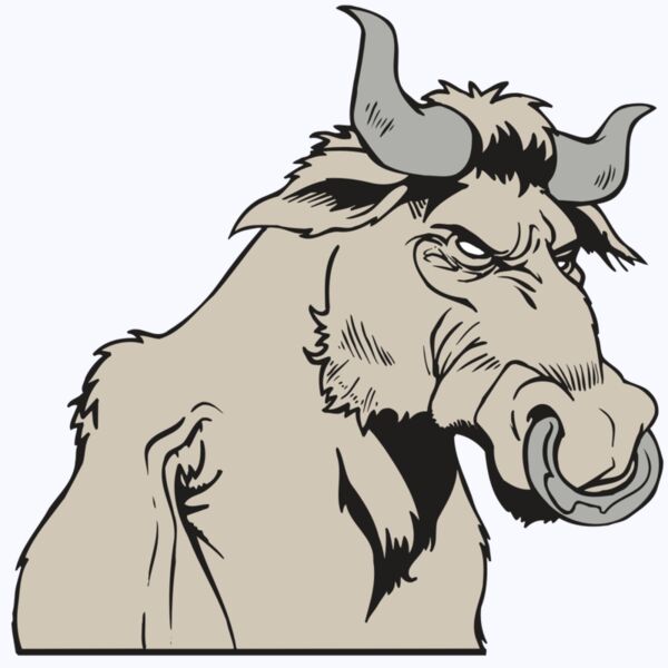 AR5 BULL 08 RQC Thumbnail