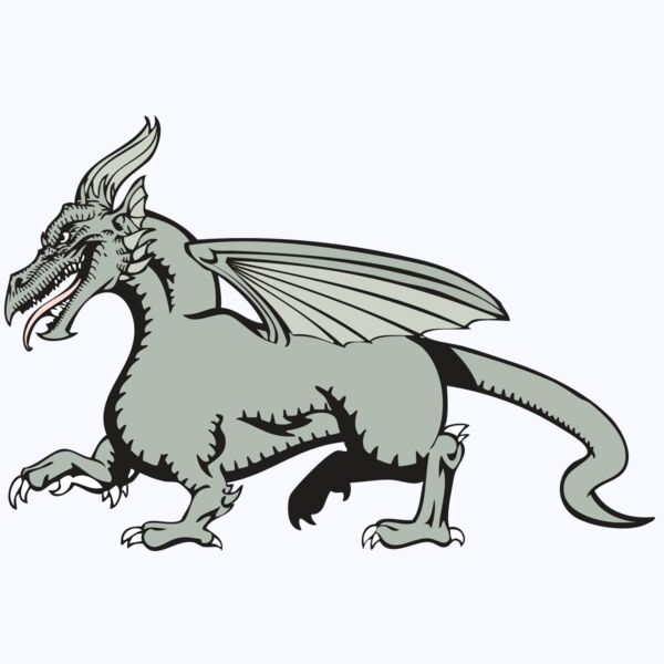 BAW DRAGON 20 RC Thumbnail