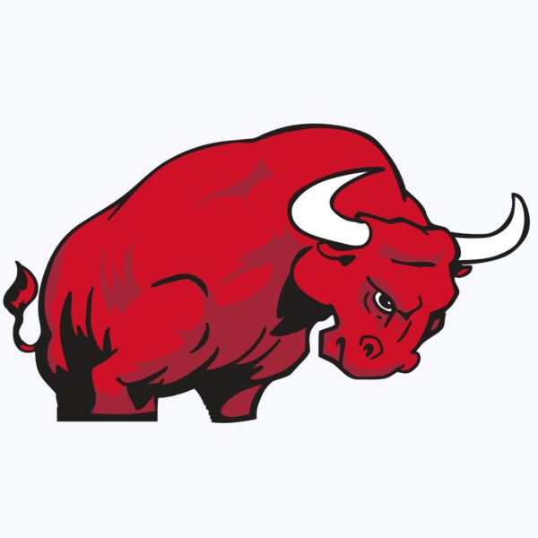 AR BULL 12 RC Thumbnail