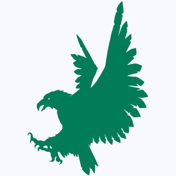 AR EAGLE 88 RC Thumbnail