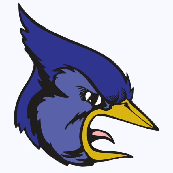 BAW BLUEJAY 04 RC Thumbnail