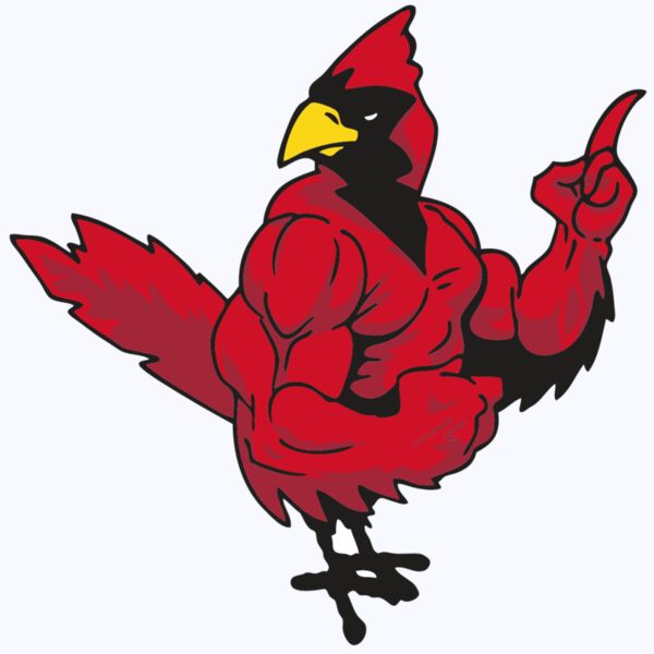 AR CARDINAL 27 RC Thumbnail