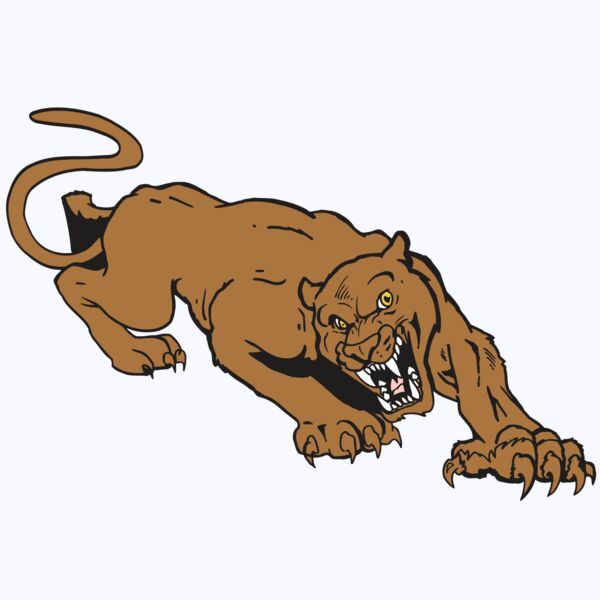 AR5 COUGAR 41 RQC Thumbnail