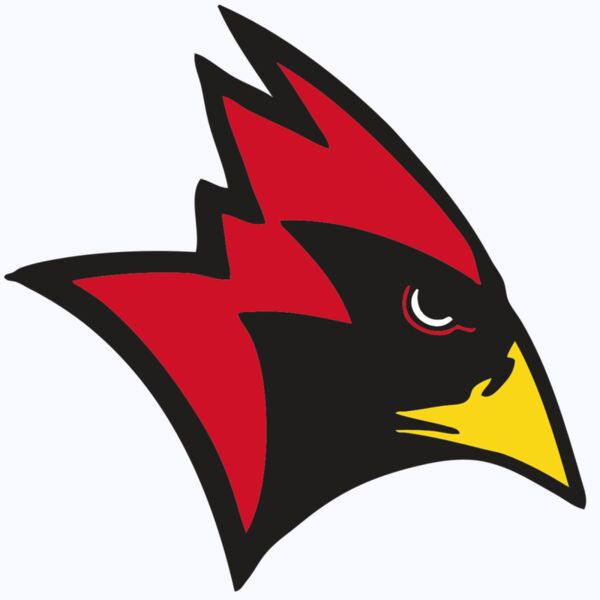 AR CARDINAL 23 RC Thumbnail