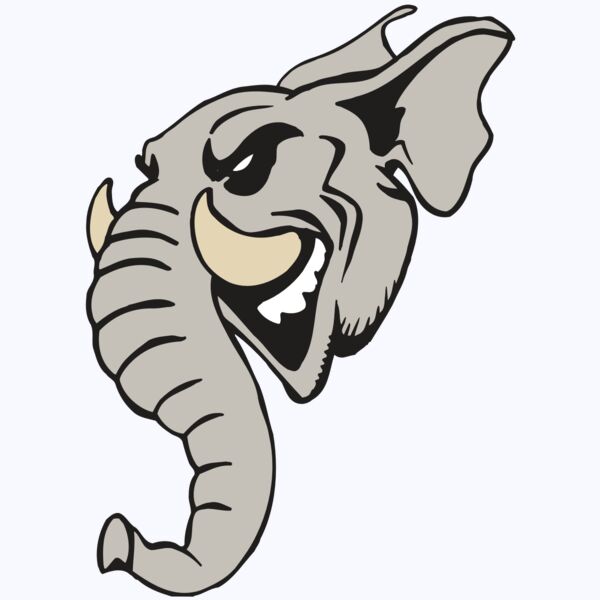 AR5 Elephant 11 RQC Thumbnail