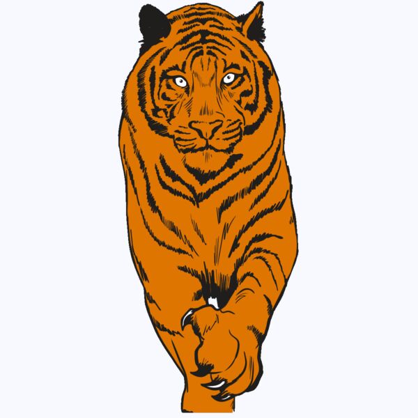 AR4 TIGER 08 RQC Thumbnail