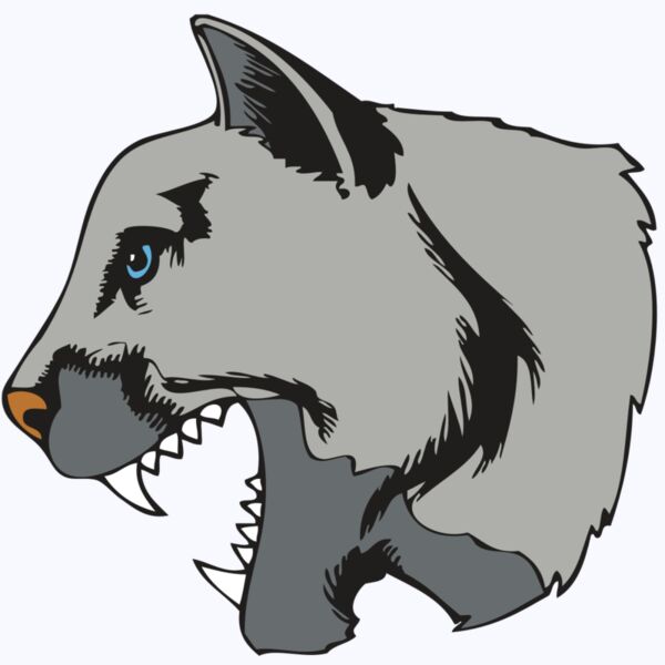 BAW COUG PANTH 15 R Thumbnail