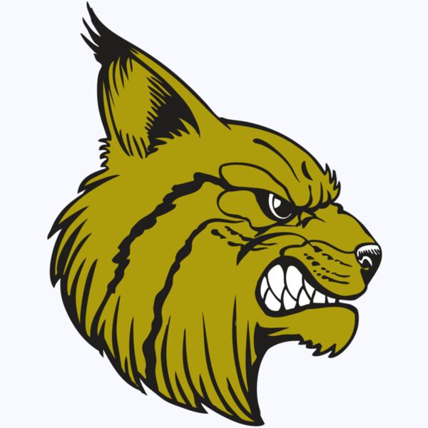 BAW BOBCAT 16 RC Thumbnail