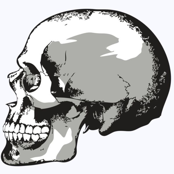 AR24 SKULL 02 RQC Thumbnail