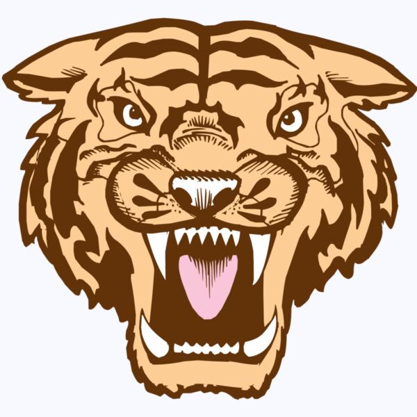 BAW TIGER 05 RC Thumbnail