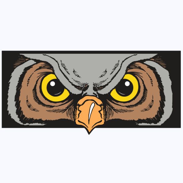 AR5 Owl 13 RQC Thumbnail