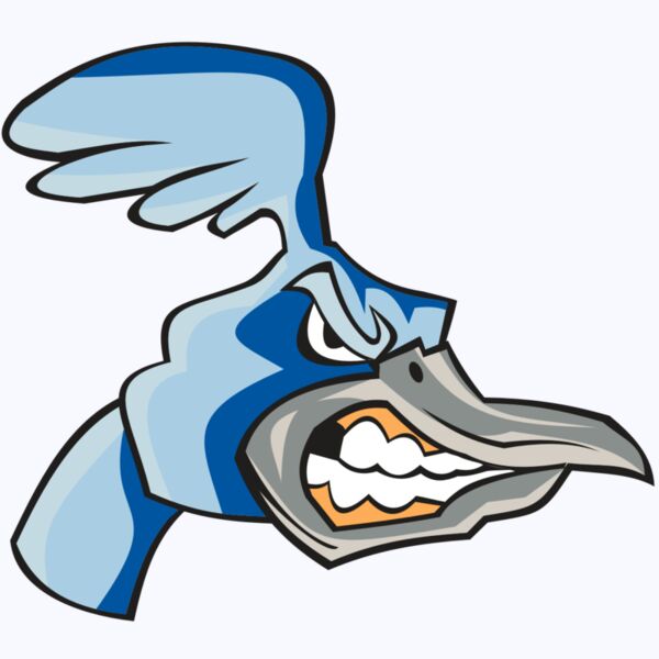 ROADRUNNER HD0503 RQC Thumbnail