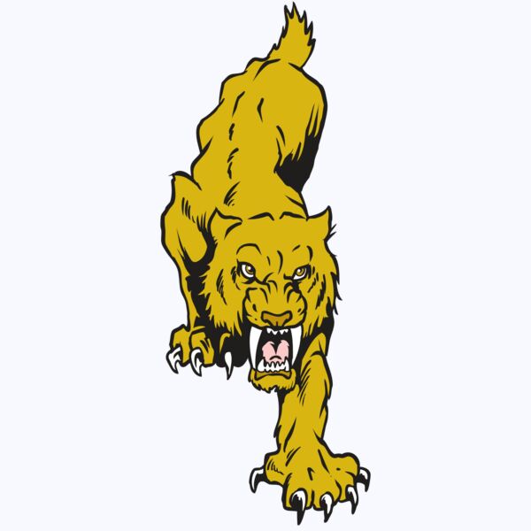 AR30 SABER 08 RQC Thumbnail