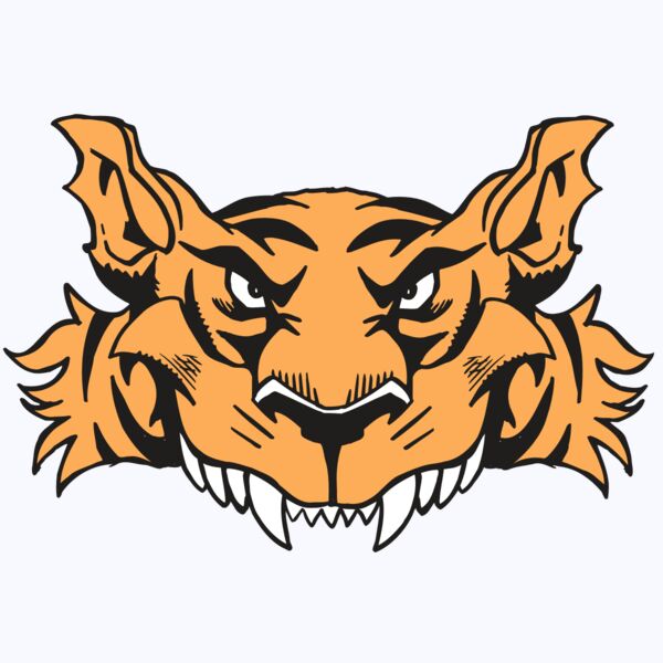 AR5 Tiger 07 RQC Thumbnail