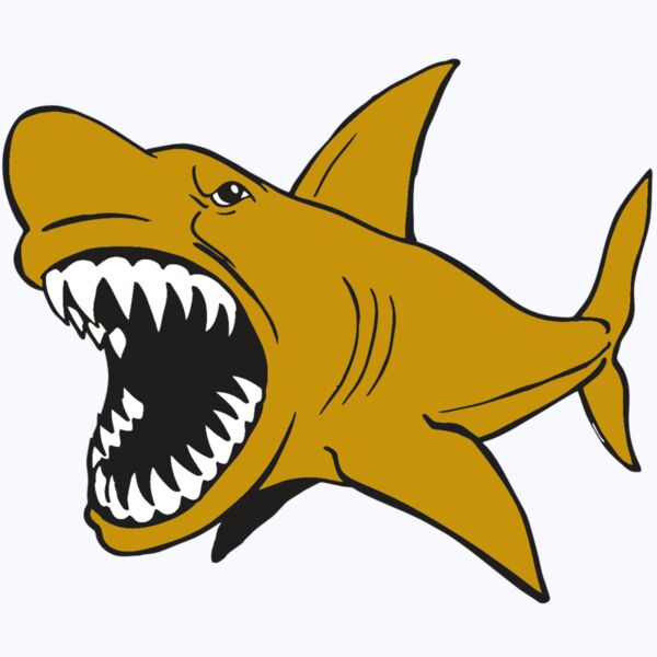 AR  SHARK 21 RC Thumbnail