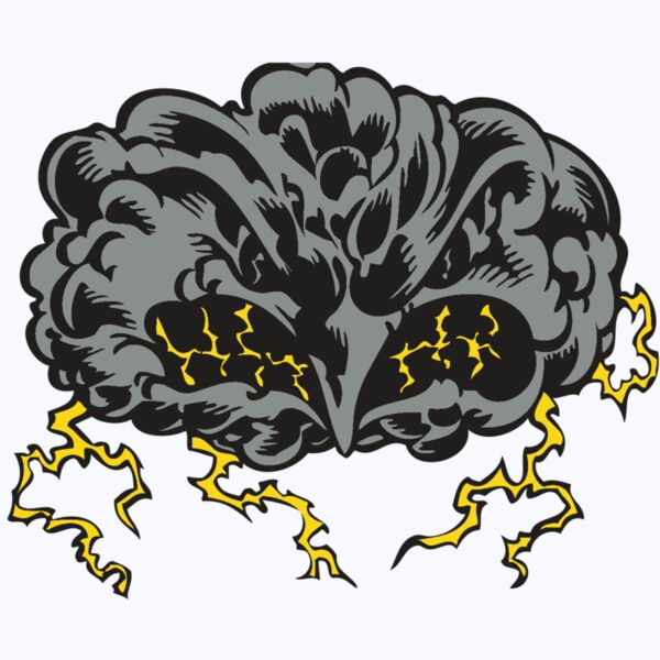 BAW STORM 11 RC Thumbnail